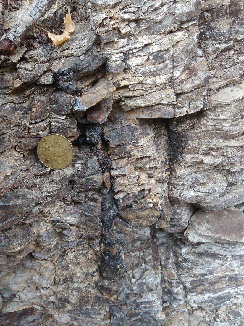 Detail žilky s mincí pro měřítko